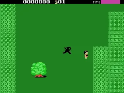 Ninja Princess – In-game