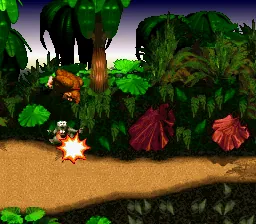 Donkey Kong Country 1–3 – Ze hry