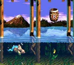 Donkey Kong Country 3 – Aus dem Spiel