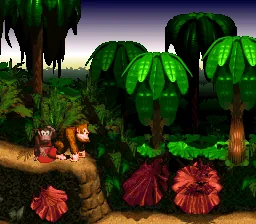 Donkey Kong Country – Ze hry