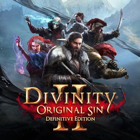 Divinity: Original Sin 2 - Definitive Edition – boxart