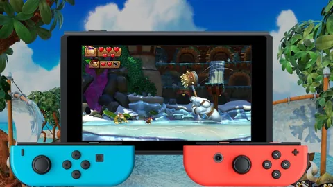 Donkey Kong Country: Tropical Freeze – In-game
