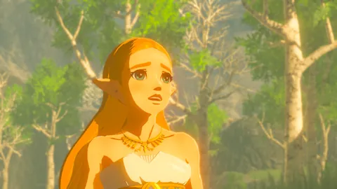 The Legend of Zelda: Breath of the Wild – In-game