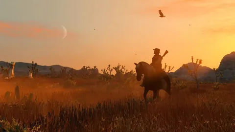 Red Dead Redemption – Ze hry