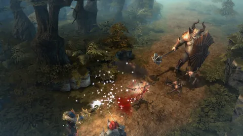 Drakensang Online – Ze hry