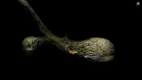 Samorost 2 – In-game