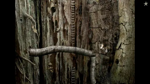 Samorost 2 – In-game
