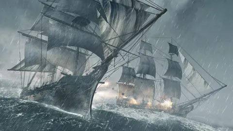 Assassin's Creed IV: Black Flag – In-game