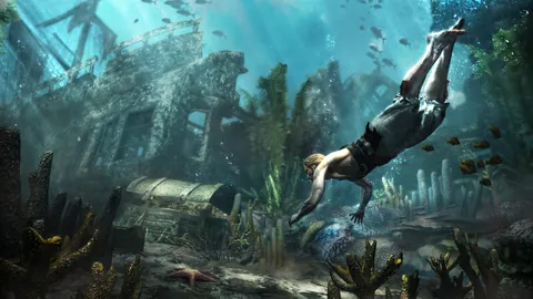 Assassin's Creed IV: Black Flag – In-game
