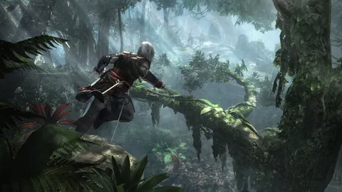 Assassin's Creed IV: Black Flag – In-game