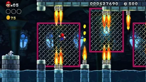 New Super Mario Bros. U – In-game