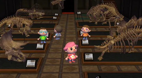 Animal Crossing: City Folk – In-game