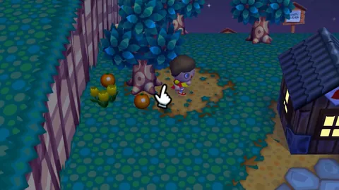 Animal Crossing: City Folk – In-game