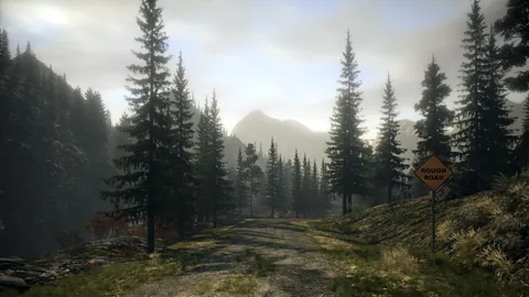 Alan Wake – In-game