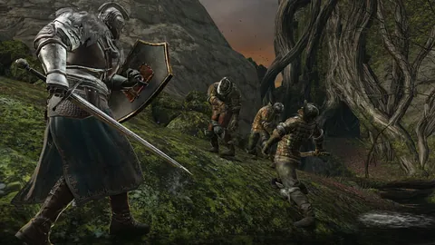 Dark Souls II – In-game
