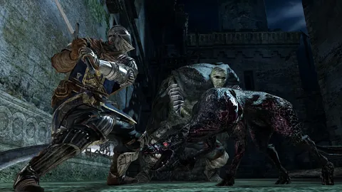 Dark Souls II – In-game