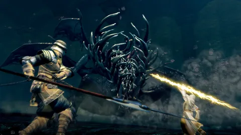 Dark Souls – Aus dem Spiel
