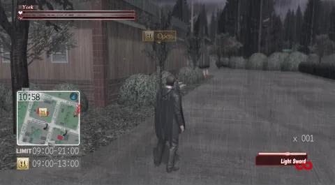 Deadly Premonition – En jeu