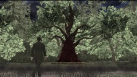 Deadly Premonition – En jeu