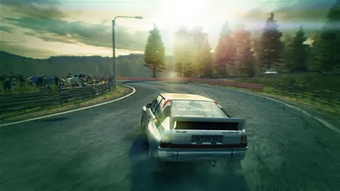 DiRT 3 – In-game