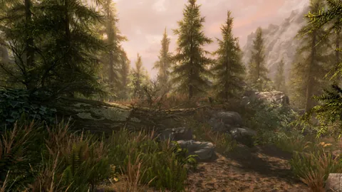 The Elder Scrolls V: Skyrim – Aus dem Spiel