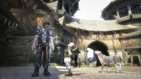 Fable II – In-game