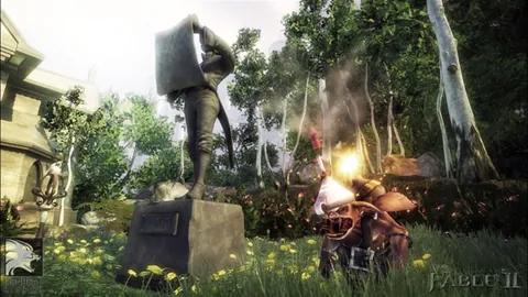 Fable II – In-game