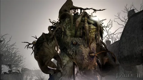 Fable II – In-game