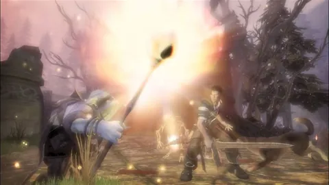 Fable II – In-game