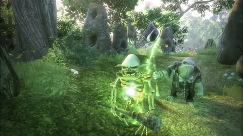 Fable II – In-game