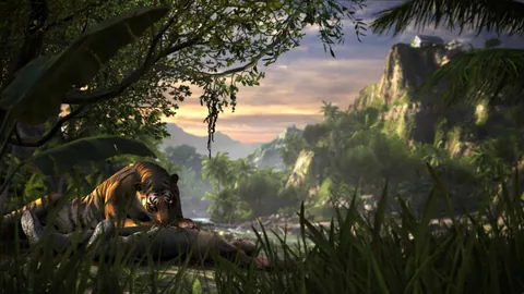 Far Cry 3 – En jeu