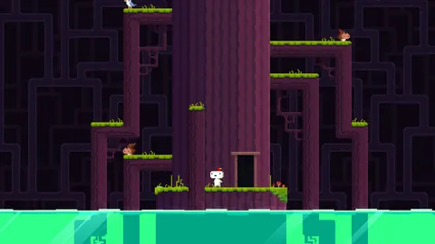Fez – En jeu