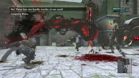 Nier – In-game