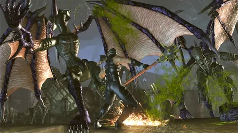 Ninja Gaiden II – Ze hry