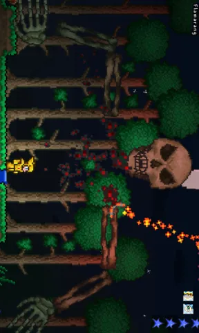 Terraria – In-game