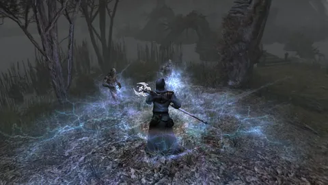 Two Worlds II – In-game