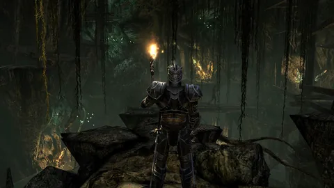 Two Worlds II – In-game