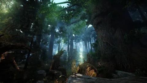 Black Desert – En jeu
