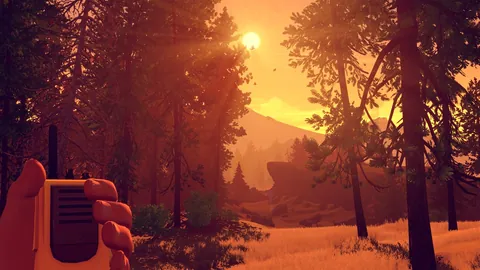 Firewatch – En jeu