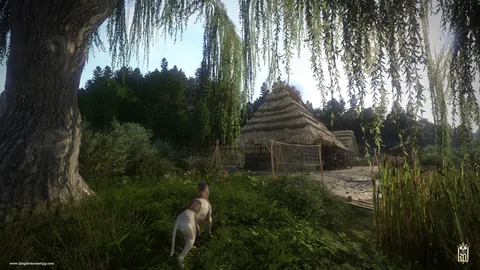 Kingdom Come: Deliverance – Ze hry