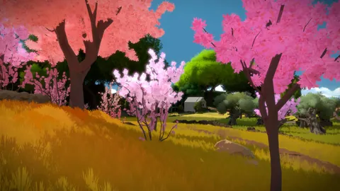The Witness – In-game