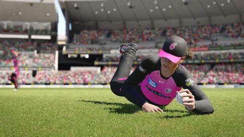 Cricket 24 – Ze hry