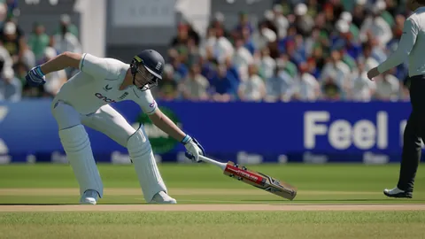 Cricket 24 – Ze hry