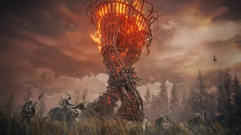 Elden Ring: Shadow of the Erdtree – Ze hry