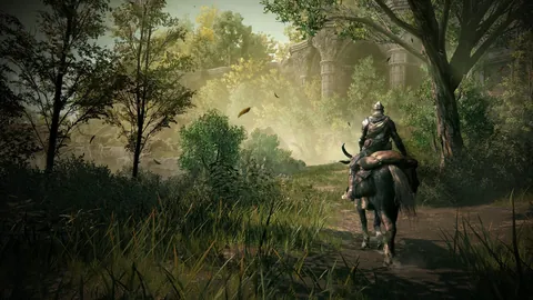 Elden Ring: Shadow of the Erdtree – Ze hry
