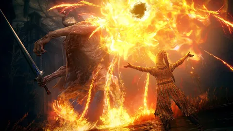 Elden Ring: Shadow of the Erdtree – Ze hry