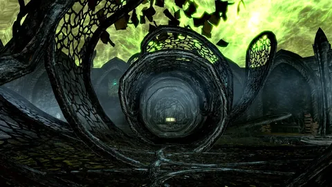 The Elder Scrolls V: Skyrim Anniversary Edition – Ze hry