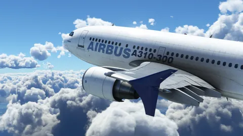 Microsoft Flight Simulator – Aus dem Spiel