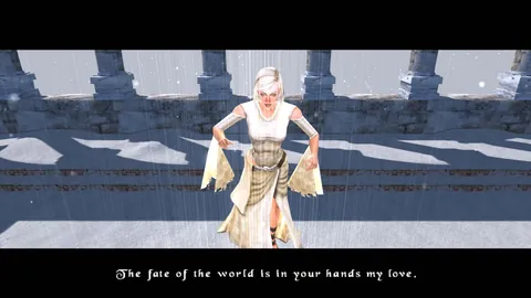 The Bard's Tale – In-game