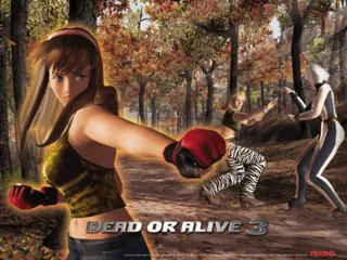 Dead or Alive 3 – Titelbildschirm